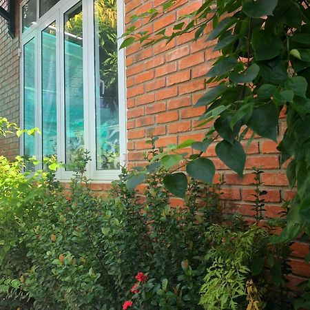 Q'Tropical Garden Homestay Hue Eksteriør bilde